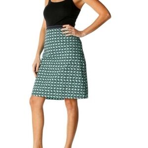 Boden Brunch A-Line Skirt